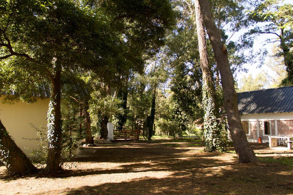 El Racó Del Bosc Mar del Plata